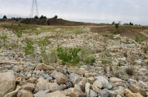 A rocky landscape with sparse vegetation and a power line in the background under a cloudy sky.