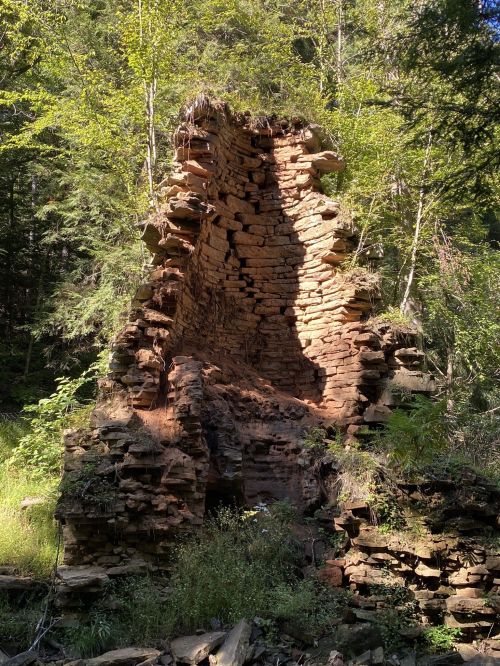A weathered rock formation stands amidst lush greenery, with sunlight casting a shadow on its textured surface.