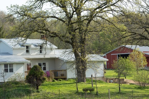 A rural scene featuring a white house, a large tree, and a red barn surrounded by greenery.