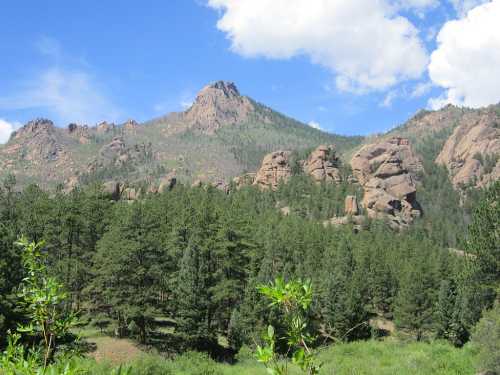 A scenic view of rocky mountains surrounded by lush green trees under a blue sky with fluffy white clouds.