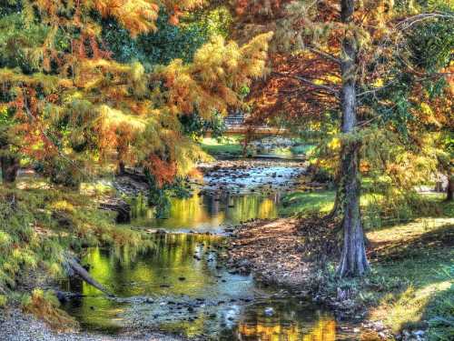 A serene stream surrounded by vibrant autumn foliage and trees, reflecting colorful leaves in the water.