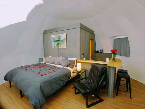 Cozy, modern bedroom with a large bed, rose petals, and a small kitchenette in a dome-shaped room.