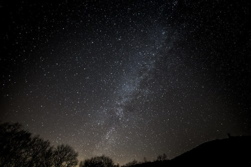 A starry night sky filled with countless stars and the Milky Way, silhouetted by dark tree outlines below.
