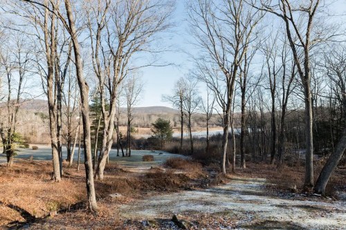 A serene winter landscape with bare trees, a frosty ground, and a distant view of a lake and mountains.