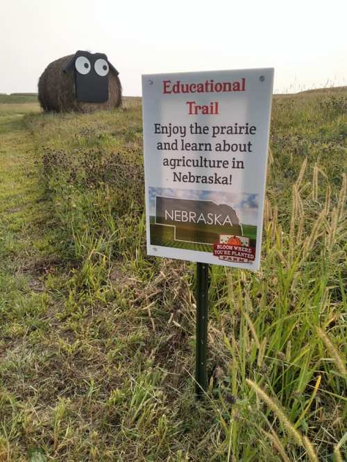 A sign for an educational trail about Nebraska agriculture, with a hay bale decorated to look like a sheep in the background.