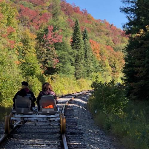 Two people ride a rail bike along a scenic track surrounded by vibrant autumn foliage.