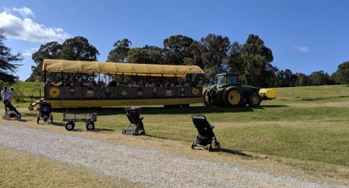 A yellow tractor pulling a large wagon filled with people on a grassy field, with strollers parked nearby.