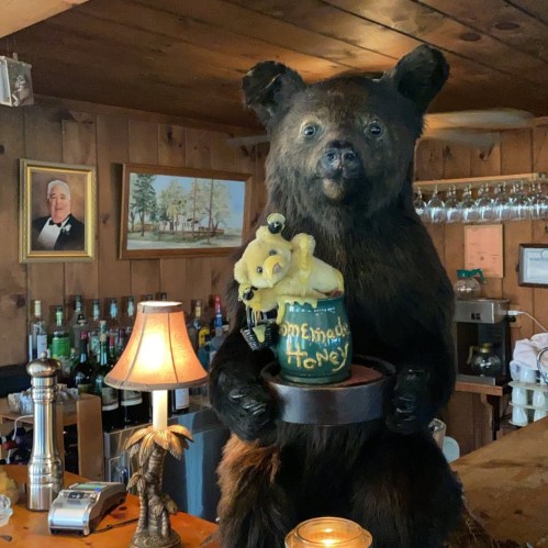 A taxidermy bear holding a jar of honey, with a small bear cub beside it, in a rustic bar setting.
