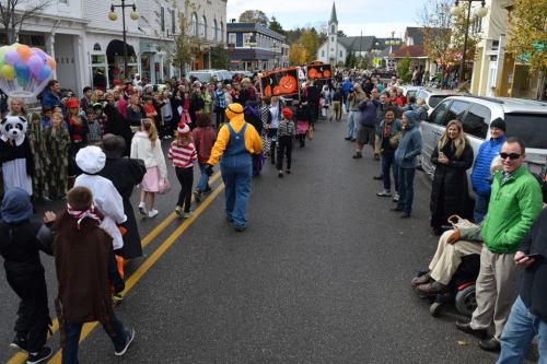 A lively street scene with a parade, featuring costumed participants and spectators lining the road in a festive atmosphere.