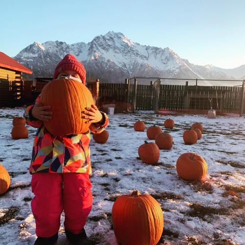 A child in colorful clothing holds a pumpkin in front of their face, with snowy mountains and pumpkins in the background.