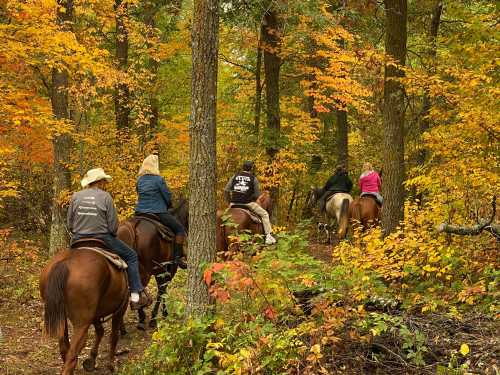 A group of people on horseback riding through a colorful autumn forest.