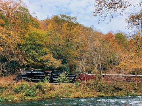 A vintage steam train beside a river, surrounded by colorful autumn foliage and trees under a cloudy sky.