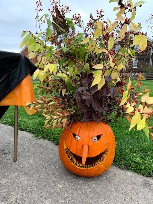 A carved pumpkin with a mischievous face, topped with colorful autumn leaves and berries, sits on a concrete surface.