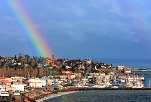 A vibrant rainbow arcs over a coastal town with boats in the harbor and colorful buildings along the shore.