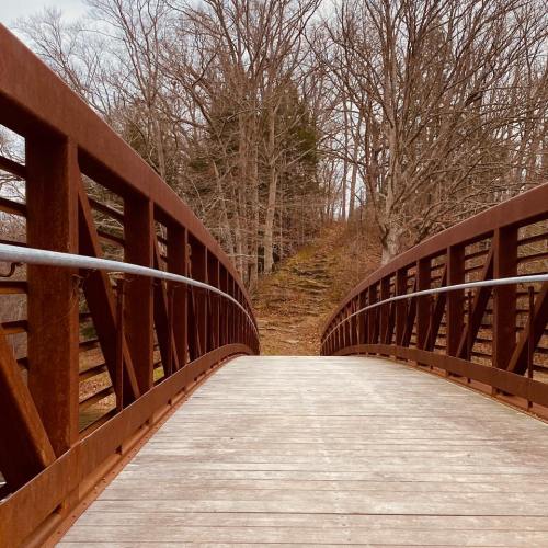 A wooden bridge spans a small path through a forest, surrounded by bare trees and a tranquil landscape.