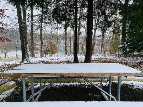 A snow-covered picnic table surrounded by trees, with a lake visible in the background on a winter day.