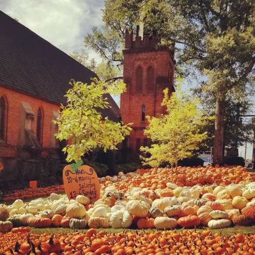 A vibrant pumpkin patch with various pumpkins and gourds in front of a church, surrounded by trees in autumn colors.