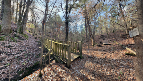 A wooden bridge crosses a small stream in a forested area with trees and fallen leaves. Steps lead up a nearby path.