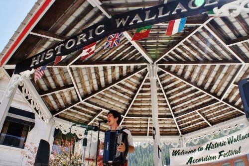 A musician plays the accordion on stage at the Historic Wallace Accordion Festival, surrounded by flags and decorations.