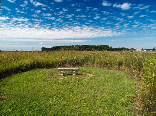 A wooden bench sits in a grassy clearing surrounded by tall grass and wildflowers under a blue sky with clouds.