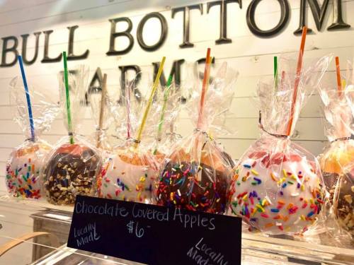 A display of chocolate-covered apples in clear bags, decorated with sprinkles, priced at $6 each.