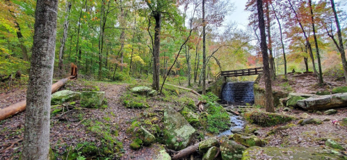 A serene forest scene with a small waterfall, a wooden bridge, and colorful autumn foliage among the trees.