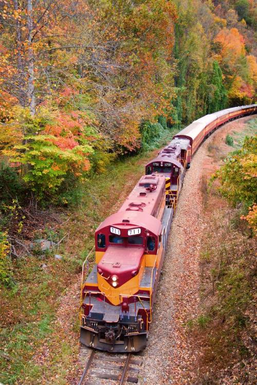 A colorful train travels along a winding track surrounded by vibrant autumn foliage.