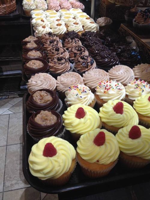 A variety of colorful cupcakes displayed on a tray, featuring different frosting styles and toppings.