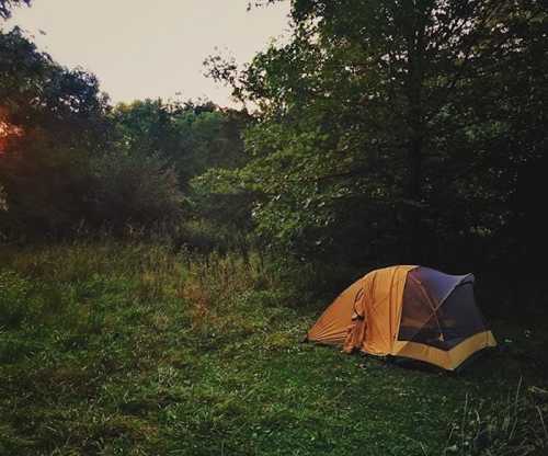 A yellow tent set up in a grassy area surrounded by trees at sunset.