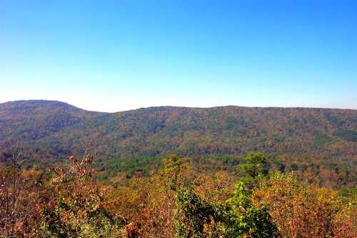 A panoramic view of rolling hills covered in autumn foliage under a clear blue sky.