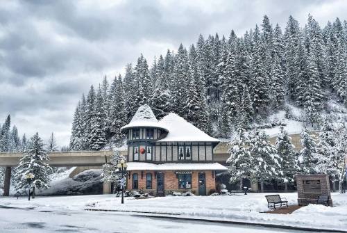 A snow-covered building surrounded by tall evergreen trees under a cloudy sky, with a road and bench in the foreground.