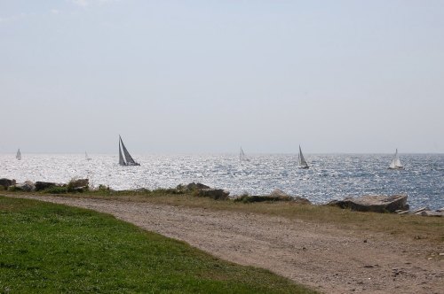 Sailboats glide across a shimmering sea, with a grassy path and rocky shoreline in the foreground.