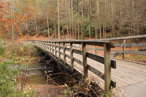 A wooden bridge spans a calm stream, surrounded by autumn foliage and trees in a serene forest setting.