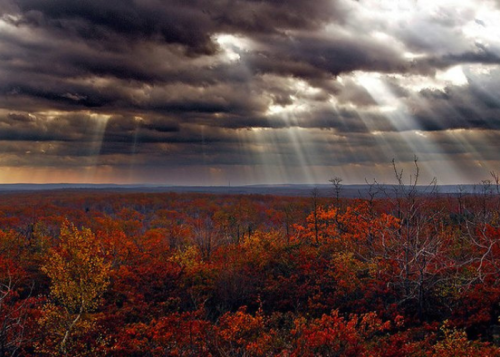 Dramatic sky with dark clouds and rays of sunlight over a vibrant autumn forest landscape.