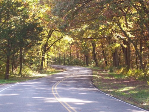 A winding road surrounded by trees with vibrant autumn foliage.