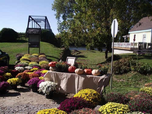 A table with pumpkins and colorful mums in front of a river and a bridge, with a house in the background.
