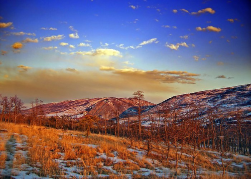 A scenic landscape featuring rolling hills, a colorful sky, and sparse trees against a backdrop of snow and grass.