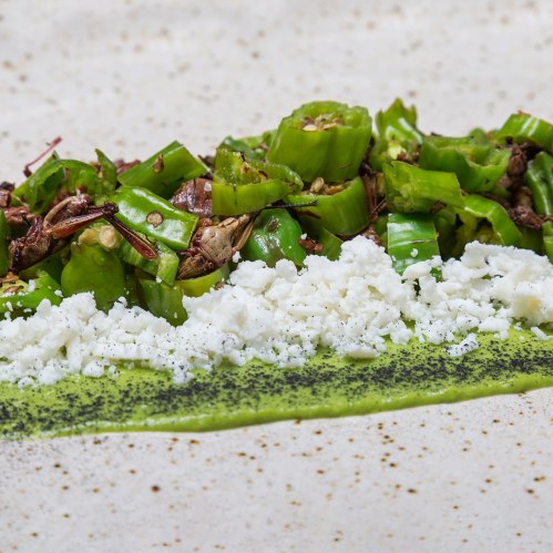 A close-up of a dish featuring green peppers, crumbled cheese, and a green sauce on a textured surface.