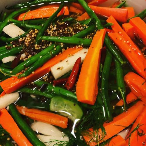 A colorful mix of green beans, carrots, and spices submerged in a flavorful marinade.
