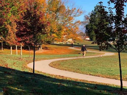 A winding path through a park with colorful autumn trees and a person walking in the distance.
