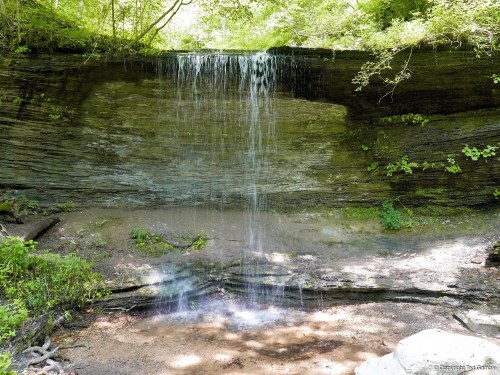 A serene waterfall cascading over a rocky ledge, surrounded by lush greenery and soft sunlight filtering through the trees.