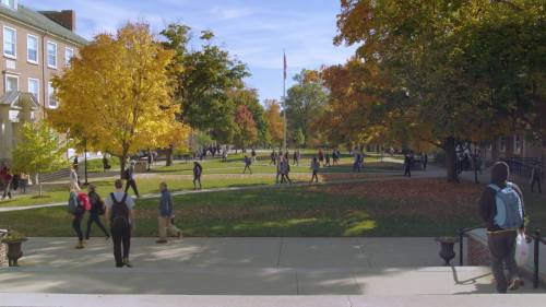 A vibrant campus scene in autumn, with students walking among colorful trees and fallen leaves under a clear blue sky.