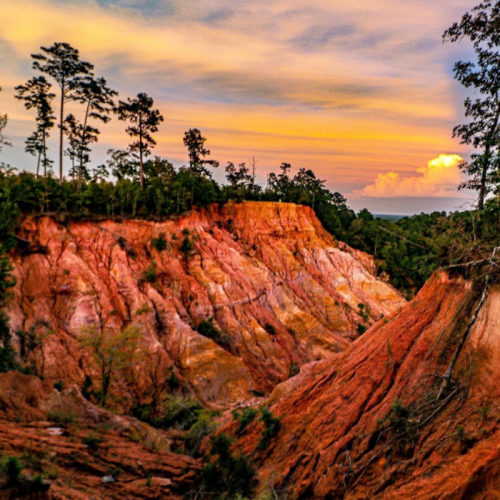 A vibrant sunset over a rugged canyon with reddish cliffs and tall trees silhouetted against the colorful sky.