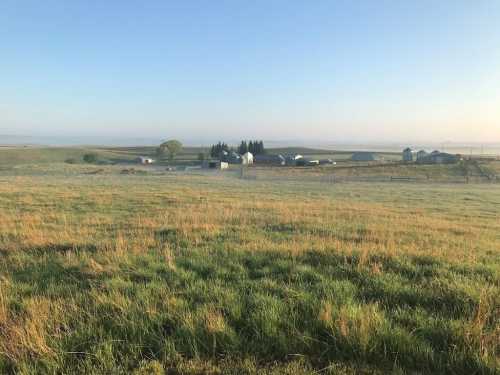 A misty morning landscape featuring a grassy field and a distant farm with several buildings and trees.