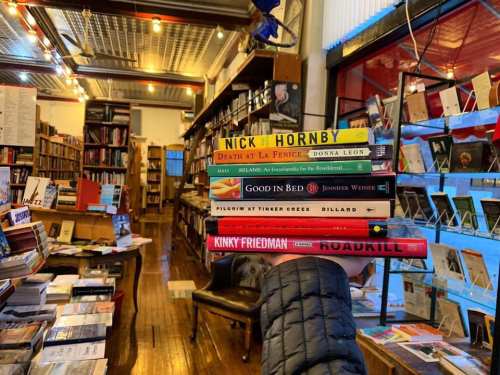 A hand holds a stack of colorful books in a cozy bookstore filled with shelves of more books in the background.