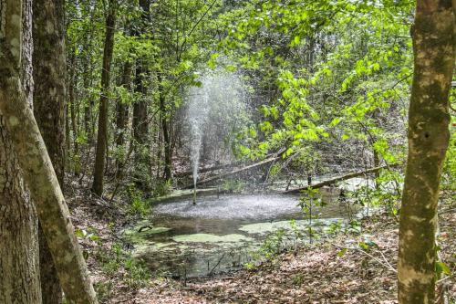 A serene forest scene featuring a small pond with a fountain, surrounded by lush greenery and trees.