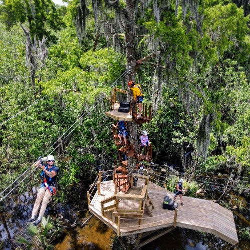 Aerial view of a tree platform with people zip-lining and enjoying a treetop adventure in a lush green forest.