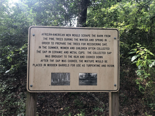 Sign explaining the process of collecting and processing pine tree sap by African-American men, women, and children.