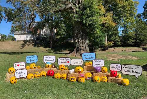 A colorful display of decorated pumpkins with cheerful messages, set on hay bales under a tree in a grassy area.