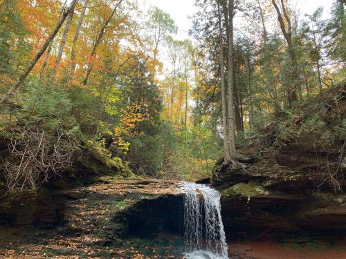 A serene waterfall cascades over rocks, surrounded by vibrant autumn foliage in a tranquil forest setting.